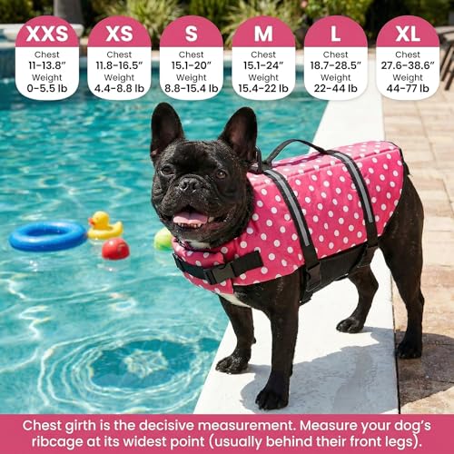 50% Off Doglay Dog Life Jacket for Swimming & Boating - Image 2