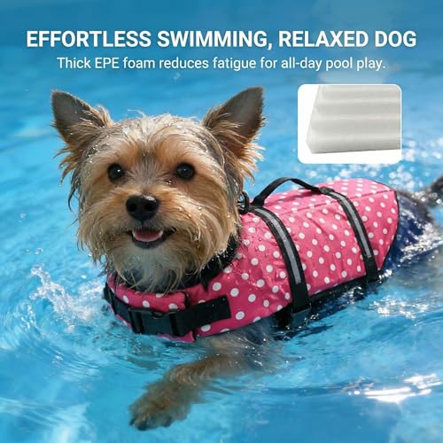 50% Off Doglay Dog Life Jacket for Swimming & Boating - Image 3