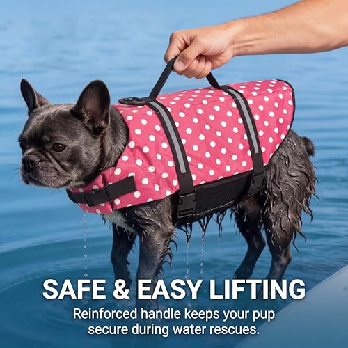 50% Off Doglay Dog Life Jacket for Swimming & Boating - Image 4