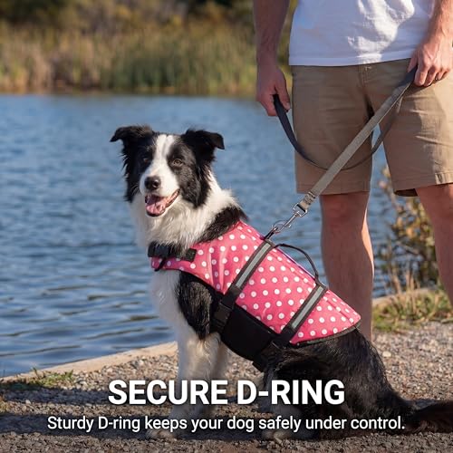 50% Off Doglay Dog Life Jacket for Swimming & Boating - Image 5