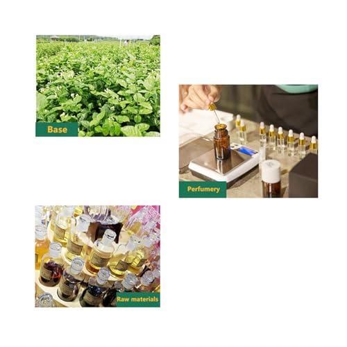 50% Off ZYCZFC Car Air Freshener Refill - Use Code VPO3EWWN - Image 6