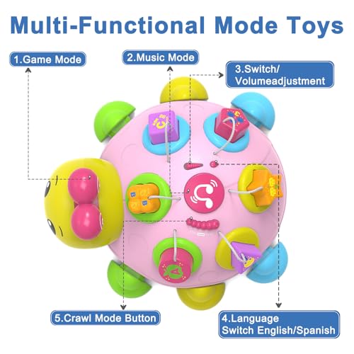 Save 14% on Holaxander Musical Ladybug Baby Crawling Toy - Image 3
