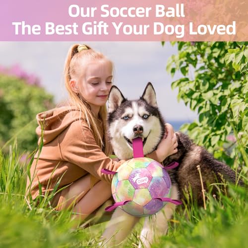 51% Off QDAN Extra Large Dog Soccer Ball Toy with Code VY73WCB5 - Image 2