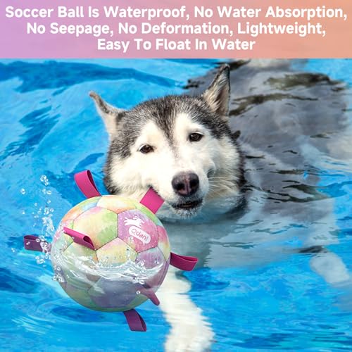 51% Off QDAN Extra Large Dog Soccer Ball Toy with Code VY73WCB5 - Image 3