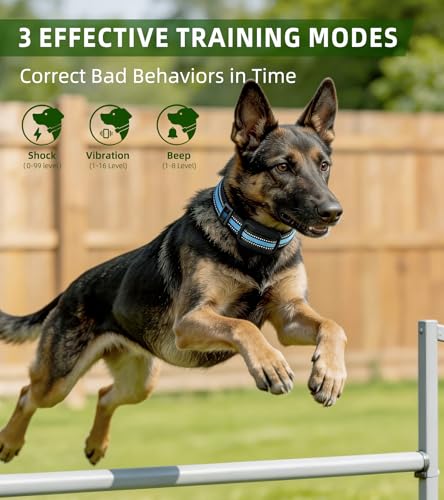 50% Off Dog Training Collar with Remote - 4200FT Range - Image 2