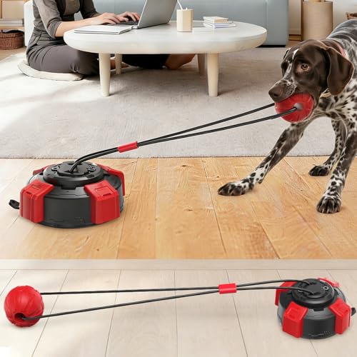 Save 50% on Virgooer Interactive Dog Tug Toy for Chewers - Image 1