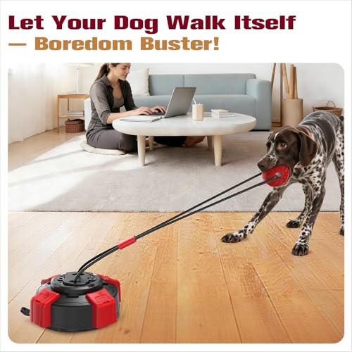 Save 50% on Virgooer Interactive Dog Tug Toy for Chewers - Image 2