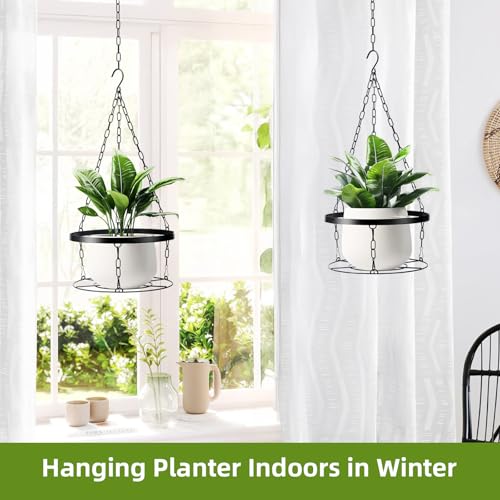 50% Off Hand-Blown Glass Hummingbird Feeder with Planter - Image 5