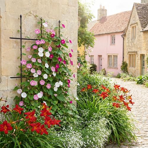 Save on 2-Pack Garden Trellis with Code NJRIMRHF - Image 5