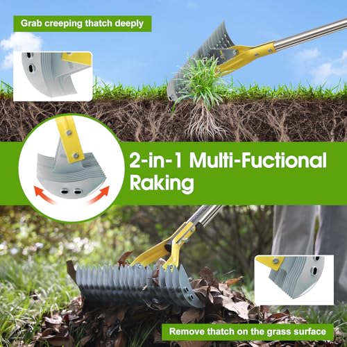 Save on a 2-in-1 Manual Thatch Rake for Lawn Care - Image 2
