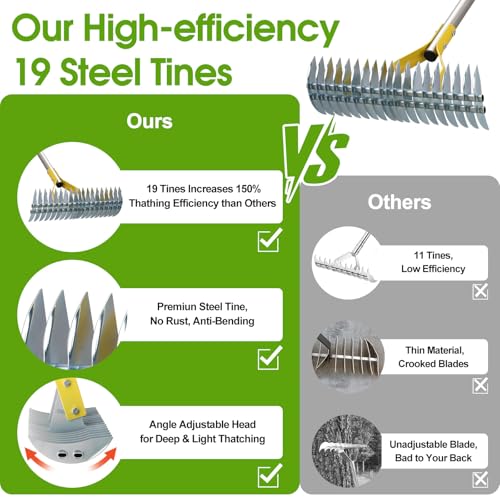 Save on a 2-in-1 Manual Thatch Rake for Lawn Care - Image 3