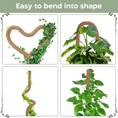 38% Off 2-Pack Bendable Moss Poles for Climbing Houseplants - Image 3