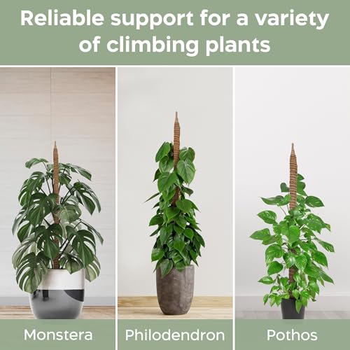 38% Off 2-Pack Bendable Moss Poles for Climbing Houseplants - Image 4