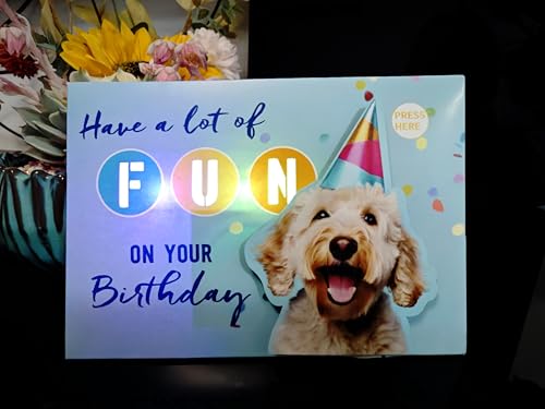 50% Off Musical Light-Up Birthday Card for Cat Lovers