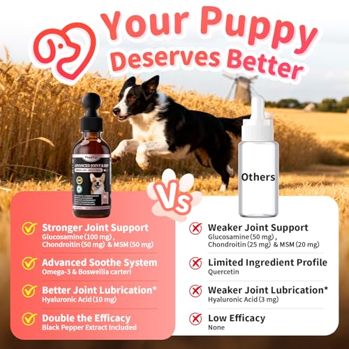 POPPAW Dog Joint Supplement Drops - 10-in-1 Formula - Image 3