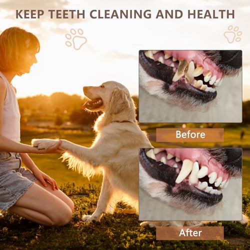 50% Off Letsmeet Squeaky Dog Toy with Crinkle Paper - Image 4