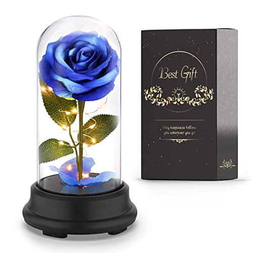 62% Off Deluxsa Preserved Rose in Glass Dome Gift