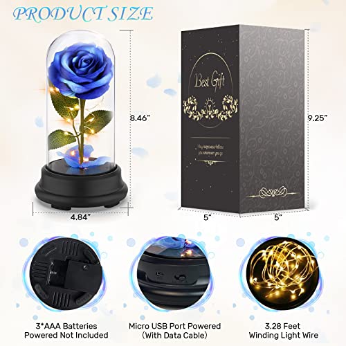 62% Off Deluxsa Preserved Rose in Glass Dome Gift - Image 2