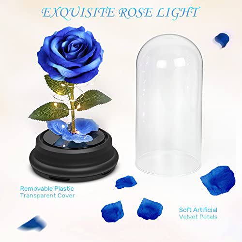 62% Off Deluxsa Preserved Rose in Glass Dome Gift - Image 5