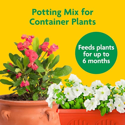 40% Off Miracle-Gro Potting Mix for Container Plants - Image 2