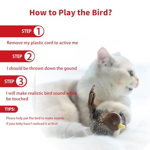 50% Off Chirping Bird Cat Toy for Indoor Cats - Image 5