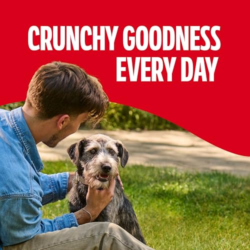 Save on Milk-Bone Original Dog Treats for Medium Dogs - Image 4