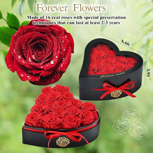 Save 40% on HERBMOTG Preserved Rose Heart Box Gift - Image 3
