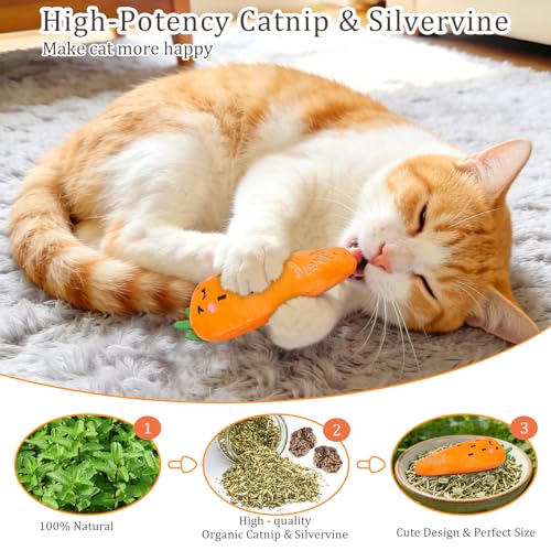 27% Off ETEKYER Catnip Toys - 5 Pack Vegetable Shapes - Image 2