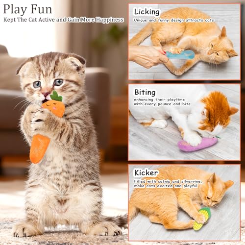 27% Off ETEKYER Catnip Toys - 5 Pack Vegetable Shapes - Image 5