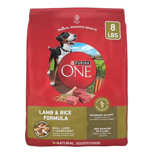 Save 9% on Purina ONE Lamb & Rice Dry Dog Food - Image 1
