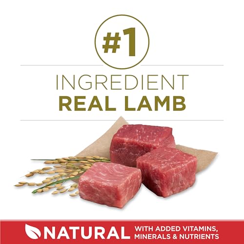 Save 9% on Purina ONE Lamb & Rice Dry Dog Food - Image 2