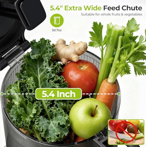 Save 50% on Havato Cold Press Juicer with Code 2U2J9UFZ - Image 2