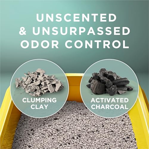 Save 40% on Tidy Cats Unscented Clumping Cat Litter - Image 4