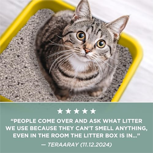 Save 40% on Tidy Cats Unscented Clumping Cat Litter - Image 6