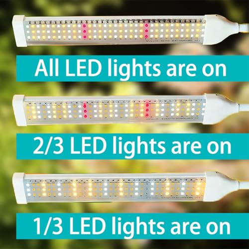 38% Off Secefeao 210 LED Grow Light with Timer & Stand - Image 2