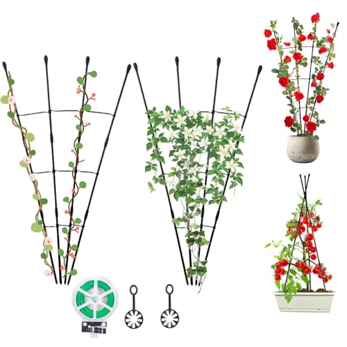 40% Off Garden Trellis for Climbing Plants - 2 Pack - Image 1