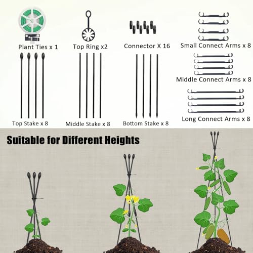 40% Off Garden Trellis for Climbing Plants - 2 Pack - Image 2