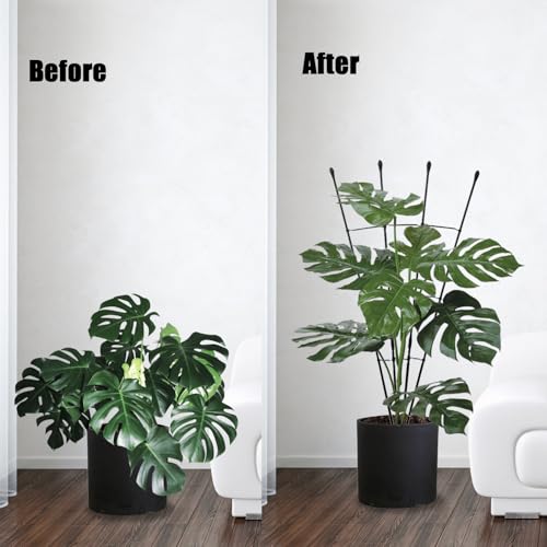 40% Off Garden Trellis for Climbing Plants - 2 Pack - Image 4