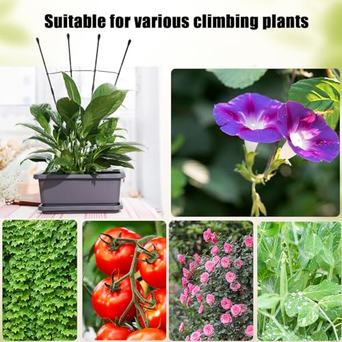 40% Off Garden Trellis for Climbing Plants - 2 Pack - Image 7