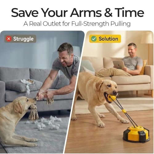 30% Off Interactive Dog Tug Toy with Suction Cup - Image 3