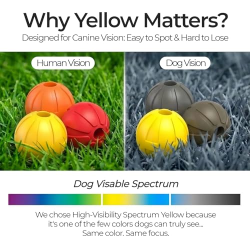 30% Off Interactive Dog Tug Toy with Suction Cup - Image 5