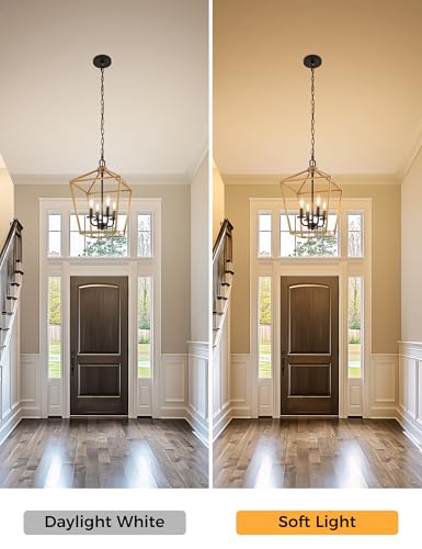 50% Off L LOHAS LED Farmhouse Chandelier with Code - Image 4