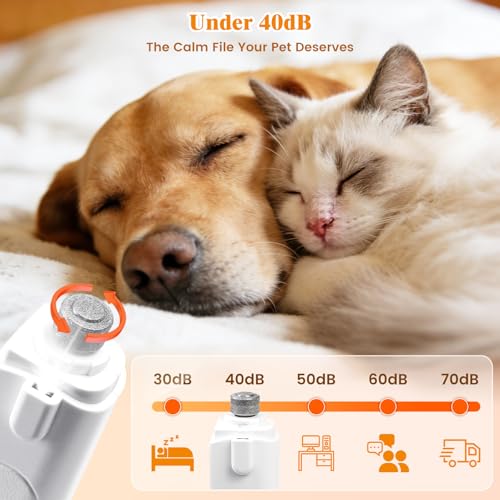 50% Off 2-in-1 Dog Nail Clippers with Light & Digital Display - Image 5