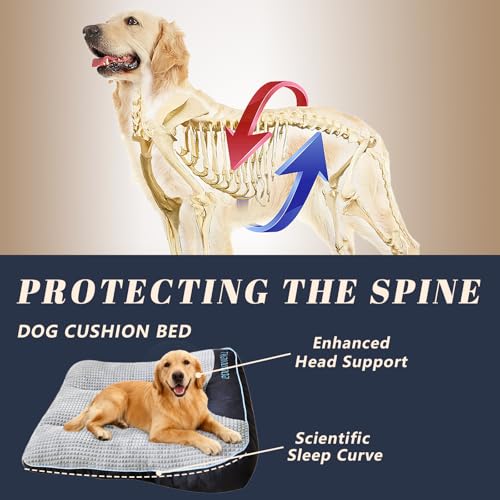 50% Off Orthopedic Dog Bed for Medium Dogs with Code - Image 4