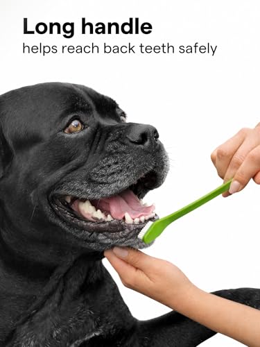 50% Off Pet Toothbrush Set for Dogs & Cats - 6-Pack - Image 4