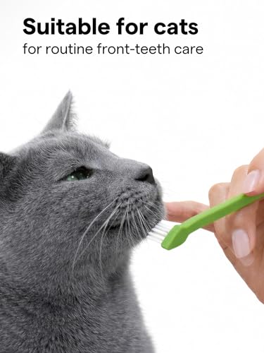 50% Off Pet Toothbrush Set for Dogs & Cats - 6-Pack - Image 5