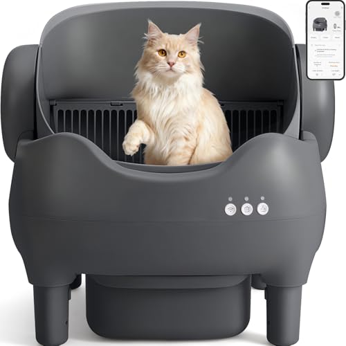 50% Off KITPLUS Self-Cleaning Litter Box with App Control - Image 1