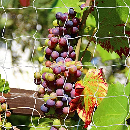 48% Off Tcamp Heavy-Duty Garden Trellis Netting - Image 2