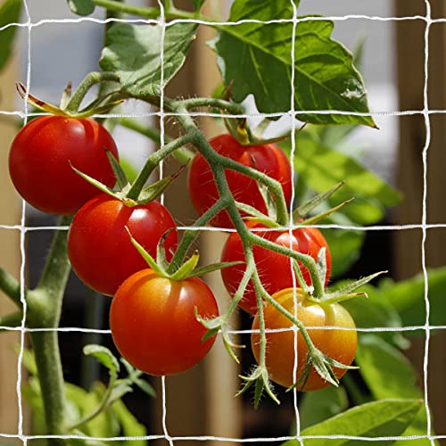 48% Off Tcamp Heavy-Duty Garden Trellis Netting - Image 6
