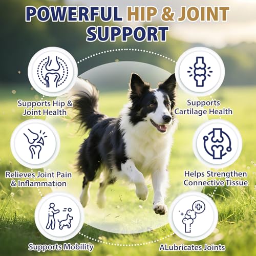 50% Off Tciika Hip & Joint Calming Chews for Dogs - Image 3